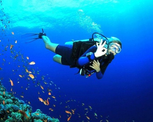 Andaman Tour Package scuba dive-in-havelock-island