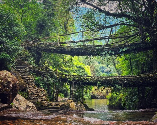 Double-Decker-Root-Bridge-Cherrapunji-meghalaya-tour