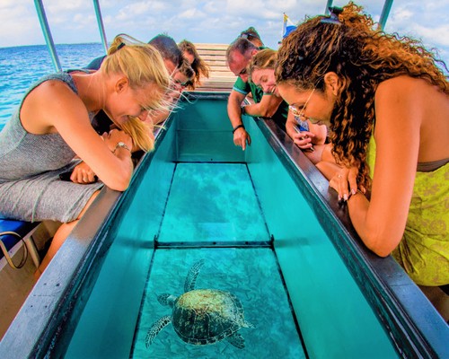 Glass-Bottom-Andaman-Tour-Package