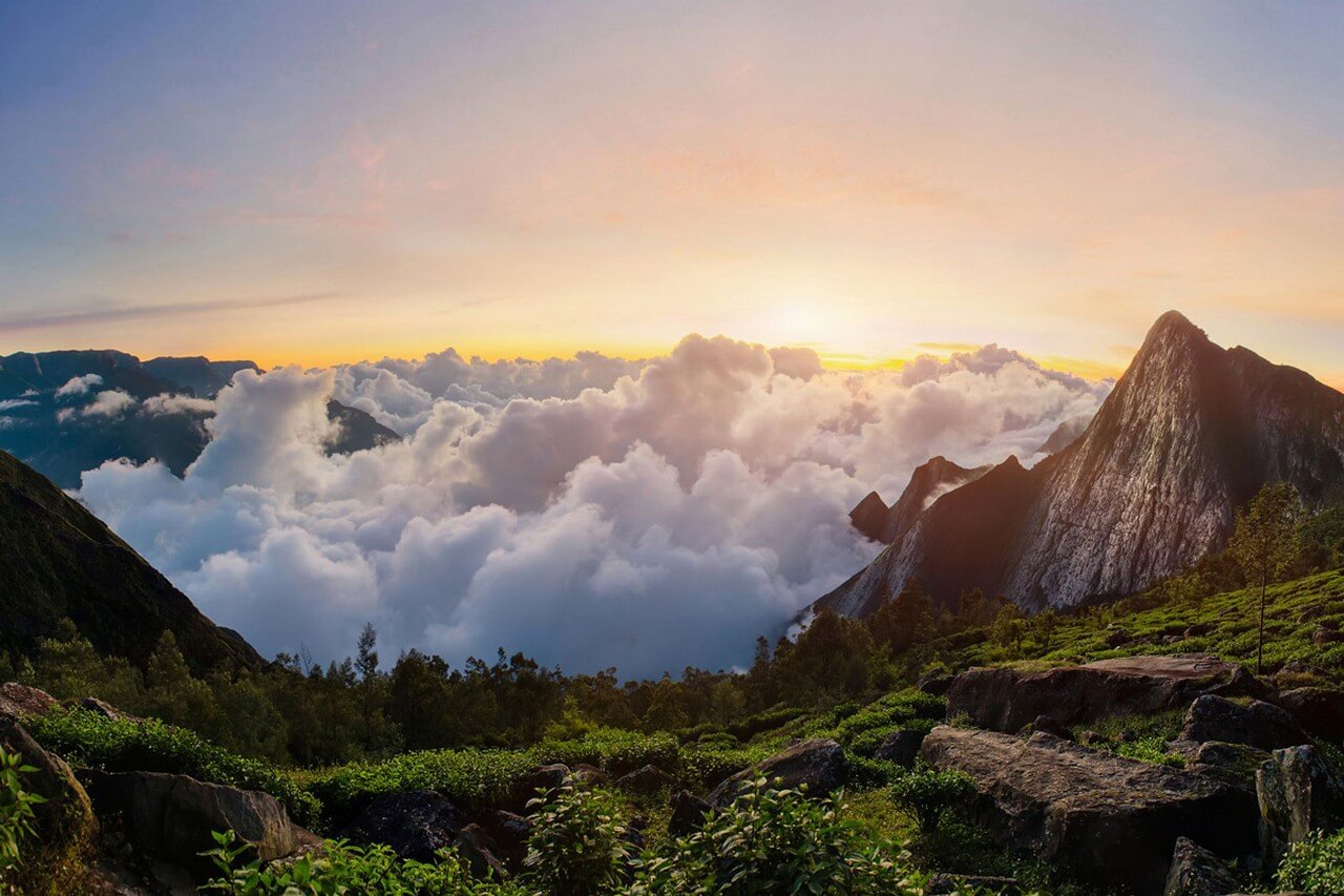 Top Station Munnar